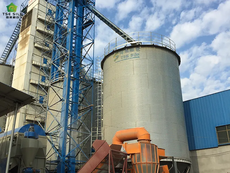 Small Grain Steel Silos In Operation