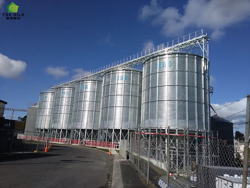 Grain Steel Silo Cluster