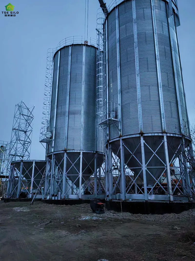 A 1000-Ton Cone-Bottom Steel Silo Is Under Construction
