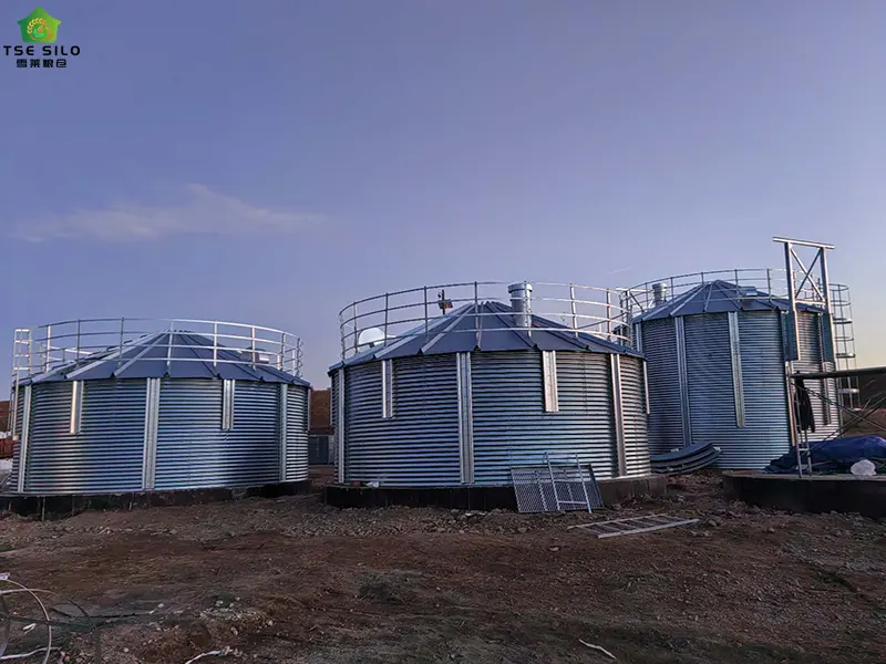 High-Grade Wind-Resistant Steel Grain Silos High-Grade Wind-Resistant Steel Grain Silos
