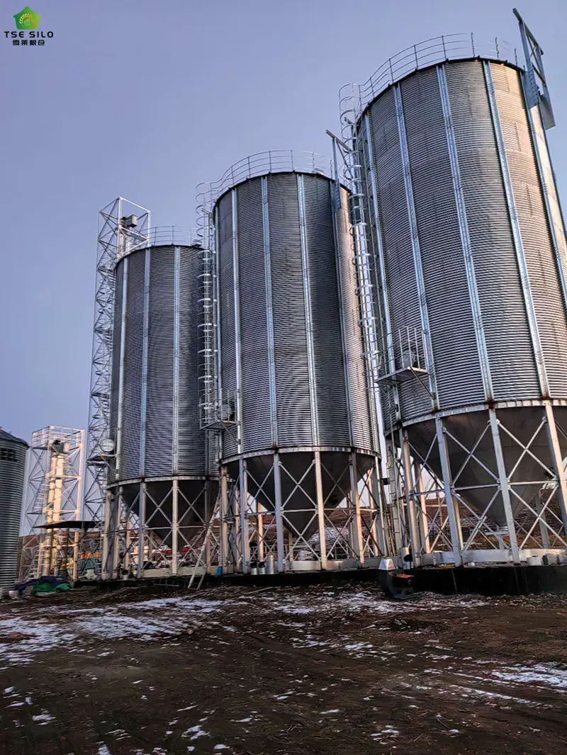 Install Wind-Resistant Facilities on Grain Steel Silos Install Wind-Resistant Facilities on Grain Steel Silos