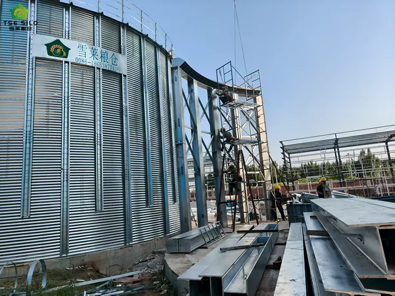 Wind-Resistant Reinforcement Beams for Grain Steel Silos