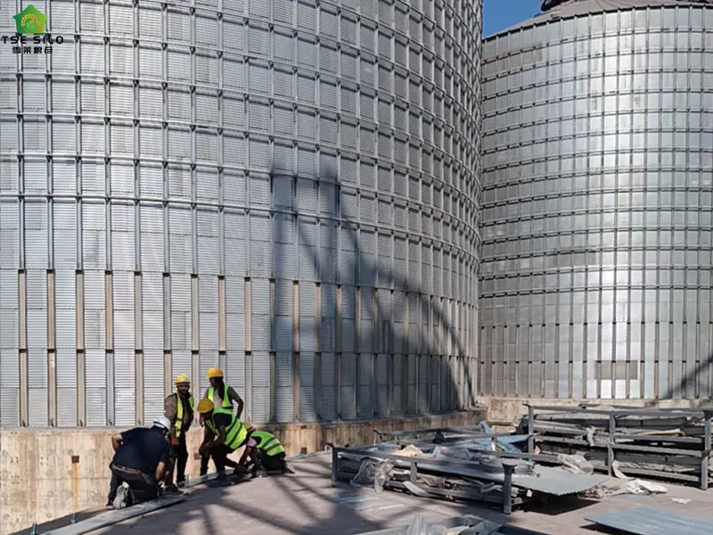 A 5000-Ton Flat-Bottomed Steel Silo Is Under Construction