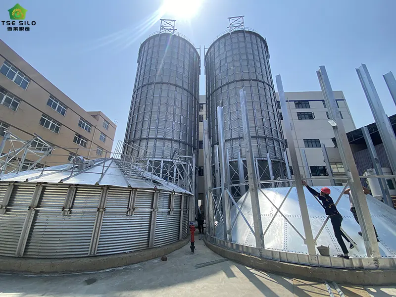 2-1000 Ton Grain Steel Silo Installation