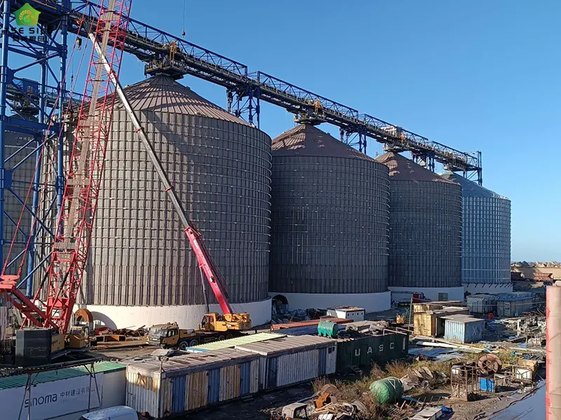 A 5000-Ton Flat-Bottomed Steel Silo Is Under Construction A 5000-Ton Flat-Bottomed Steel Silo Is Under Construction