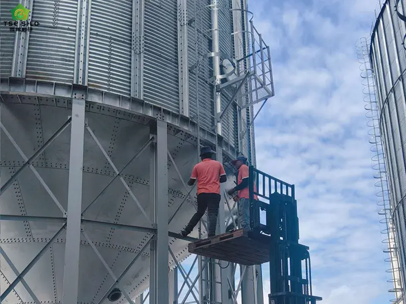Installation of Intelligent Inventory System for Grain Silos Installation of Intelligent Inventory System for Grain Silos