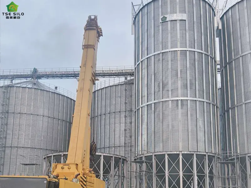 Conical Bottom Steel Silo in the Hoisting