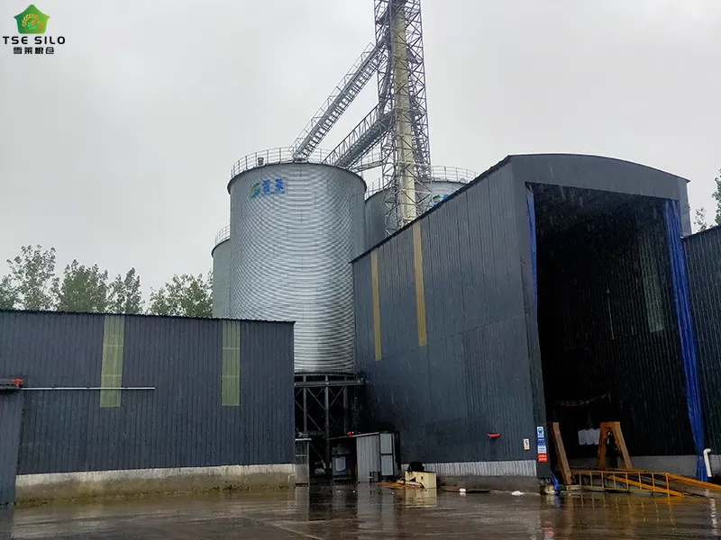 Grain Steel Silos in Operation