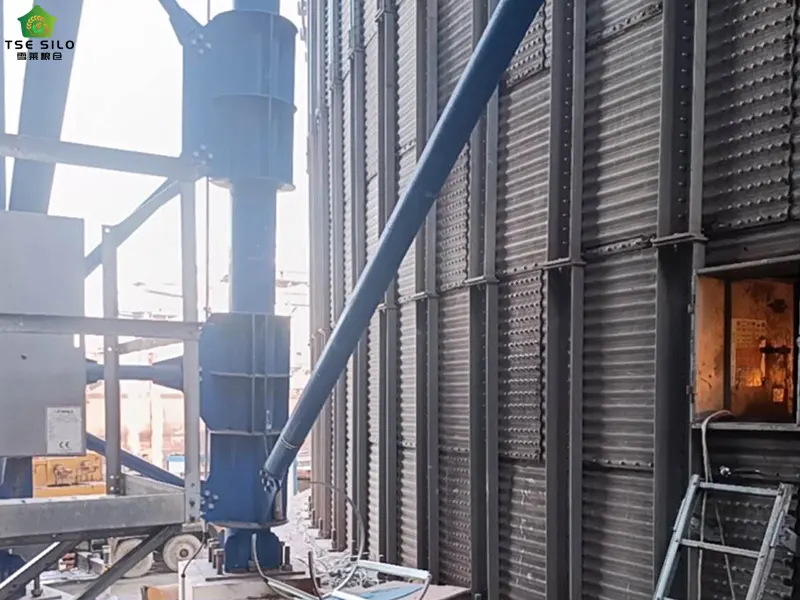 Installation of Cyclone Dust Collector for Grain Steel Silos