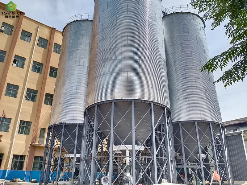 Conical Bottom Steel Silo Under Construction Conical Bottom Steel Silo Under Construction