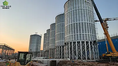 Should Grain Silos Be Constructed with Conical Bottom or Flat Bottom Steel Plates?