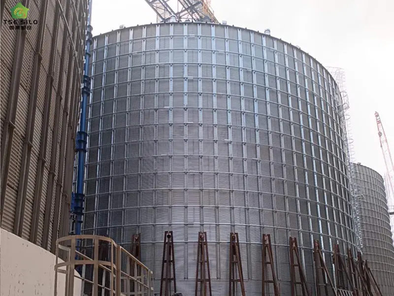 A Single 20,000-Ton Flat-Bottomed Steel Silo Is Under Construction