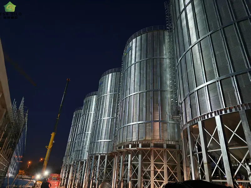 Conical Bottom Steel Silo Under Construction