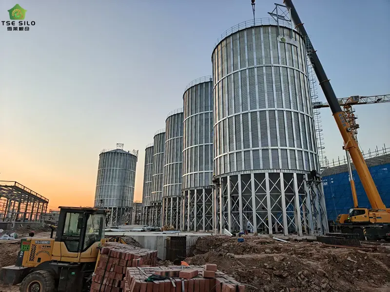 Construction of 6-1000 Ton Cone-Bottom Steel Silos Is Underway