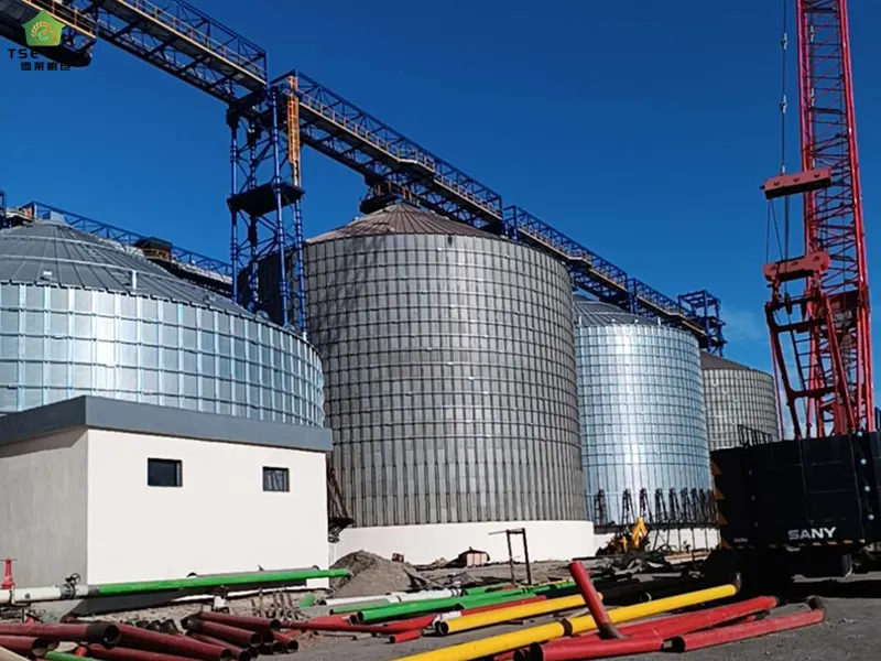 Large Flat-Bottomed Steel Silo Complex Under Construction