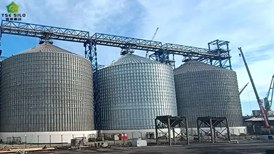 Six Most Important Maintenance Tasks in the Operation of Flat-Bottomed Steel Silos