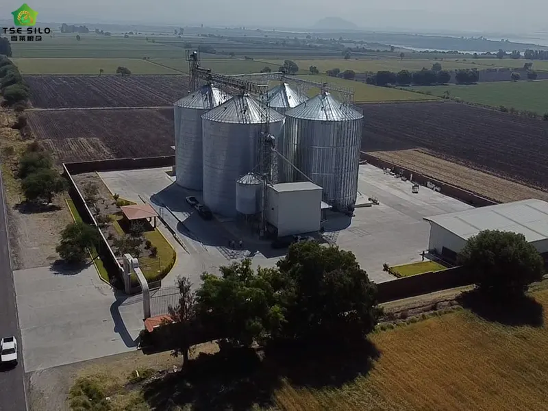 4,000-5,000 Ton Flat-Bottomed Steel Silos Are in Operation