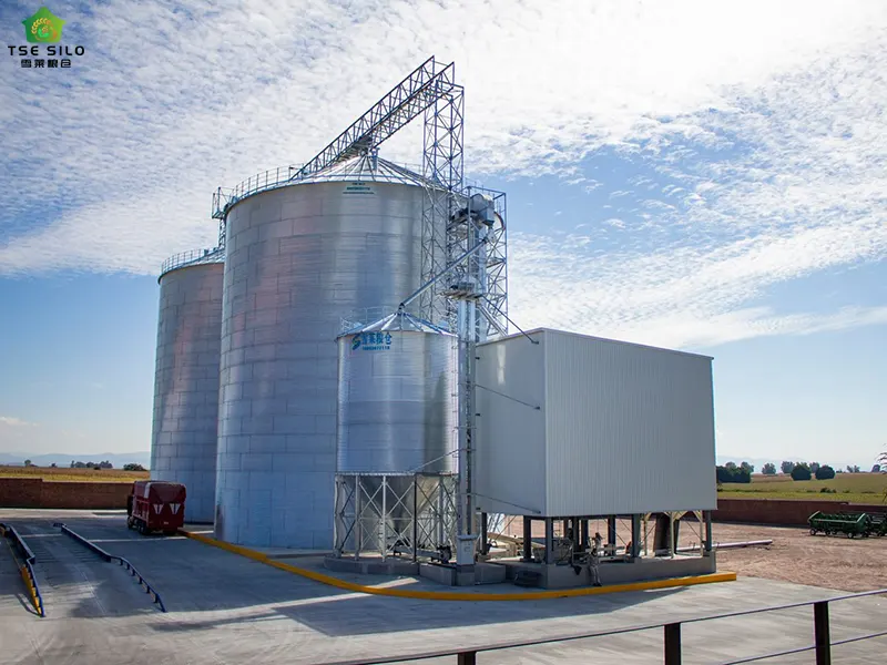 Cleaning of the Area Around the Flat-Bottomed Steel Silo