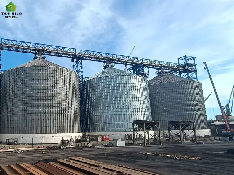 Flat-Bottomed Steel Silo Body Maintenance