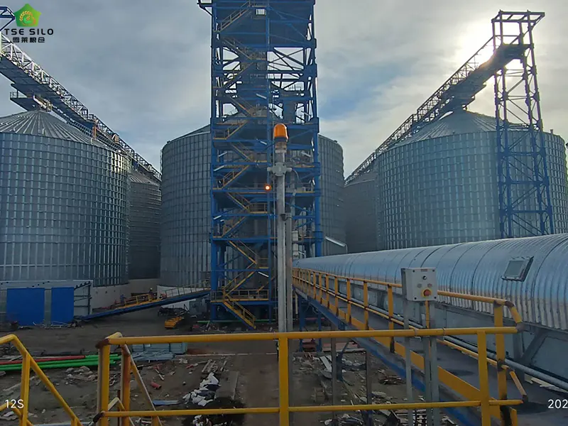 Overhaul of Large Flat-Bottomed Steel Silo Conveying Equipment
