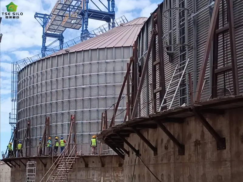 16000-Ton Flat-Bottomed Steel Silo Under Installation