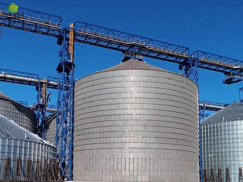 Large Flat-Bottomed Steel Silos in Operation