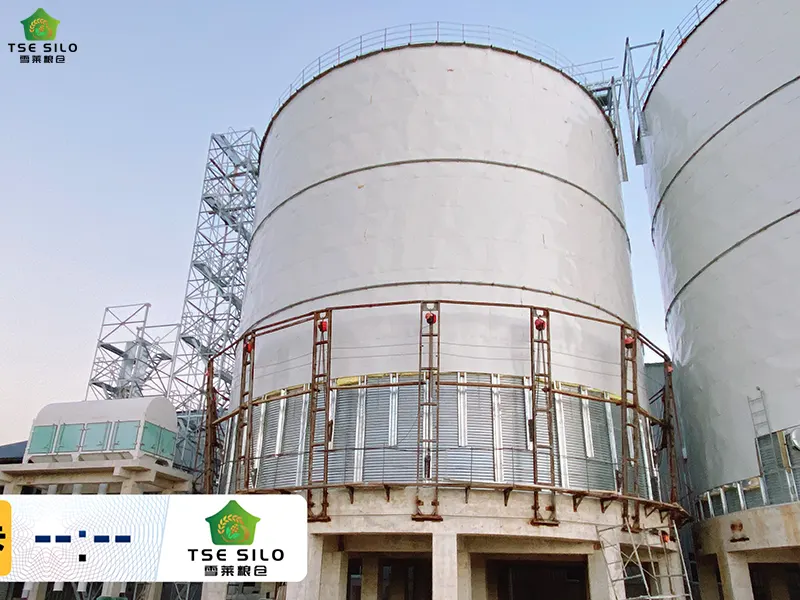 Construction of External Wall Insulation for Large Flat-Bottomed Steel Silos Is Underway