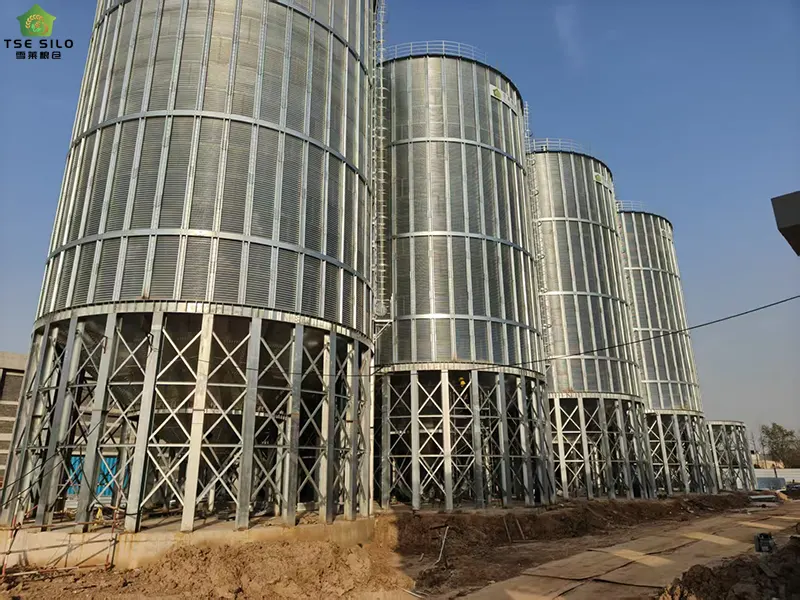 A 1200-Ton Cone-Bottom Steel Silo Is Under Construction