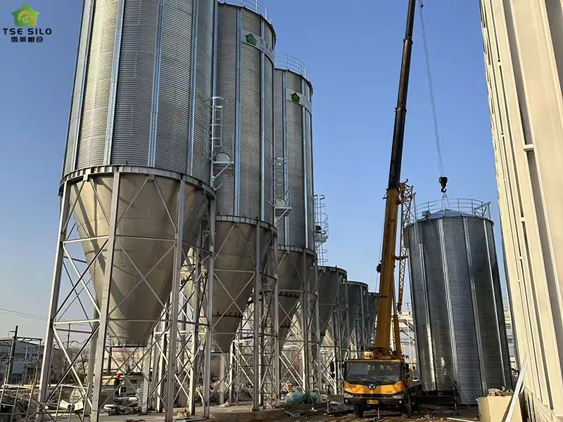 Small Cone-Bottom Steel Silo Under Installation Small Cone-Bottom Steel Silo Under Installation
