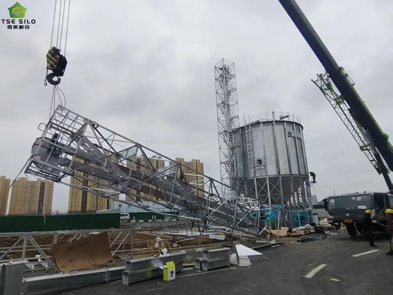 Grain Steel Silos Are Being Installed
