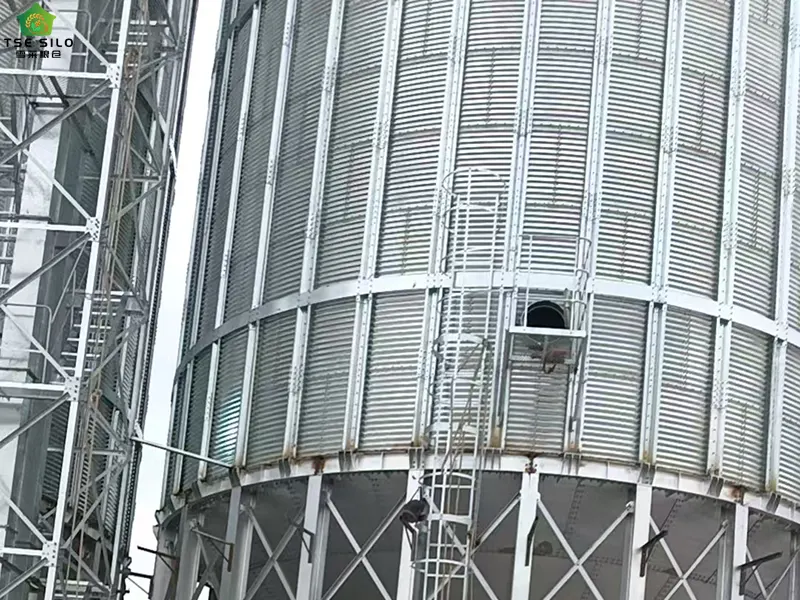Installation of Steel Silo Level Monitoring Equipment