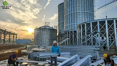 6 Mainstream Processes for Grain Loading Operations in Steel Grain Silos
