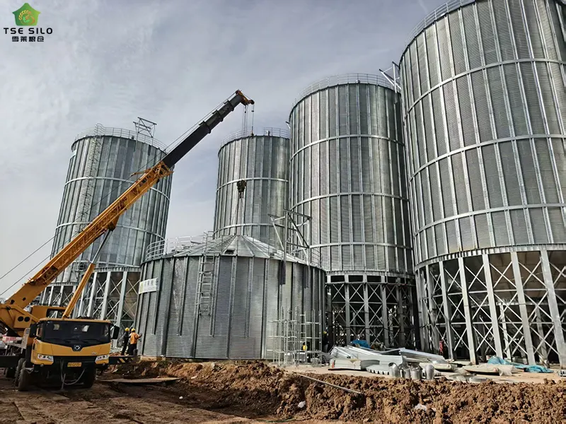 Grain Steel Silo Body Installation
