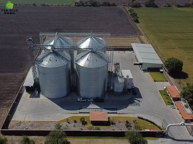 Dynamic Monitoring During Mechanical Ventilation of Flat-Bottomed Steel Silos