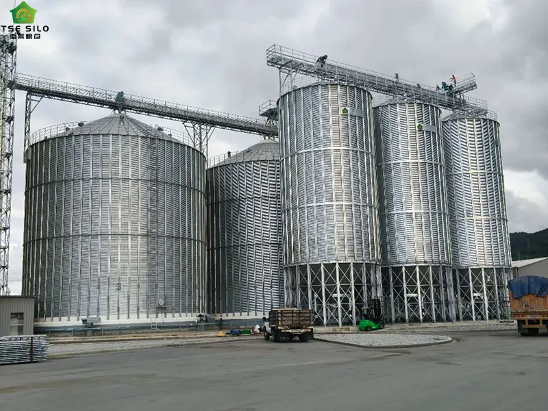 Inspection Before Mechanical Ventilation of Flat-Bottomed Steel Silos