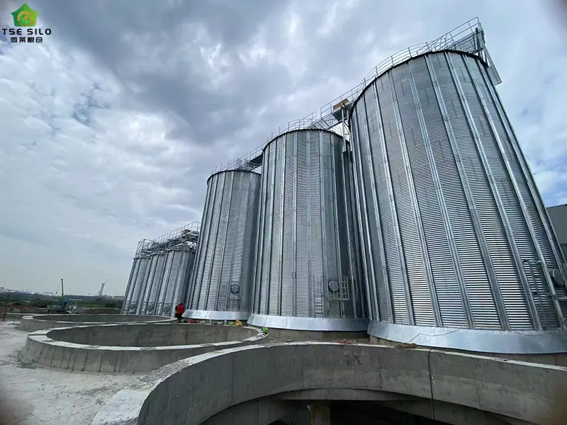 Installation of Mechanical Ventilation Facilities for Flat-Bottomed Steel Silos