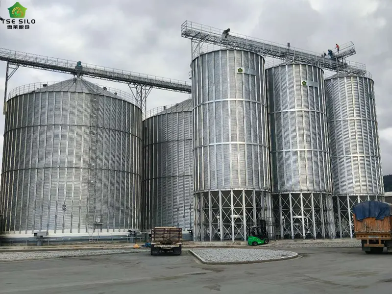 Construction of a Cluster of Steel Grain Silos Is Underway Construction of a Cluster of Steel Grain Silos Is Underway