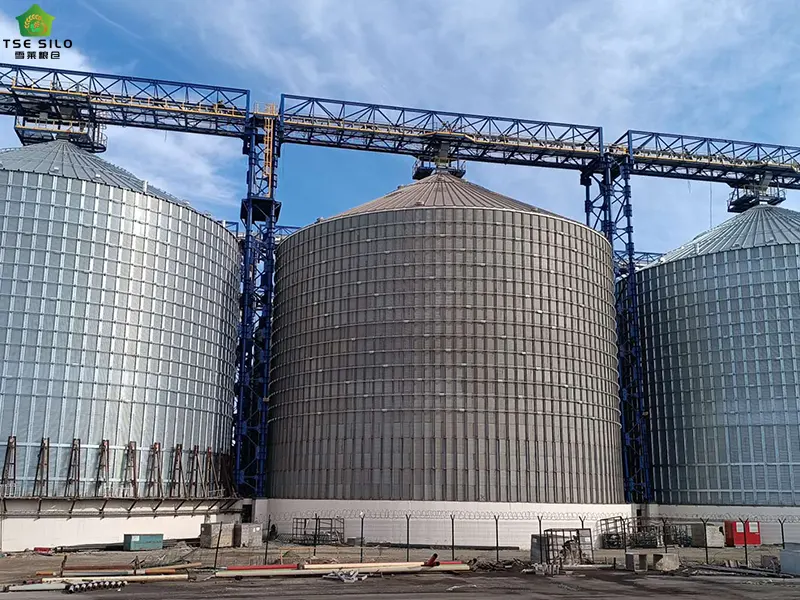 Large-Scale Steel Grain Silos Currently in Operation