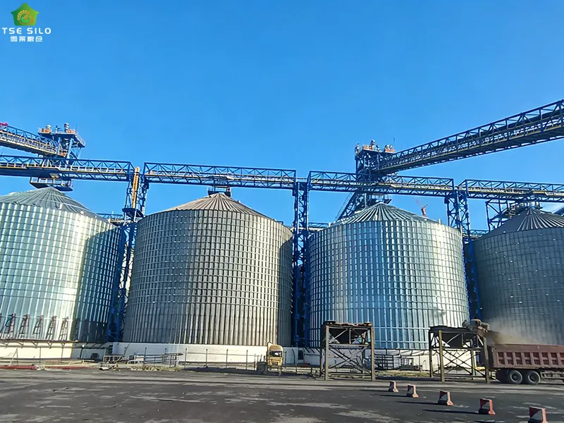 Installation of Grain Conveying Facilities for the Large Flat-Bottom Steel Silo Is Currently Underway