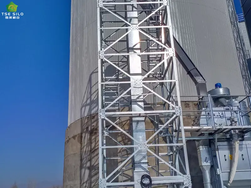 Installation of the Flat-Bottom Steel Silo Elevator Is Currently Underway On-Site