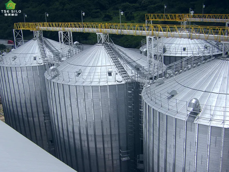 The Grain Conveying Channel for the Flat-Bottom Steel Silo Is Currently Undergoing Testing
