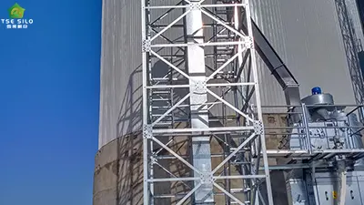 The Top 10 Causes of Abnormal Noises in Flat Bottom Silos Elevators