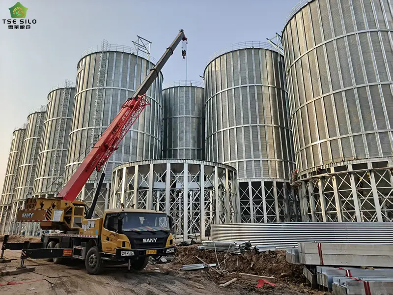 Large-scale Grain Steel Silo Under Installation