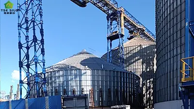 9 Important Considerations for Pneumatic Conveying of Grain in Steel Silos