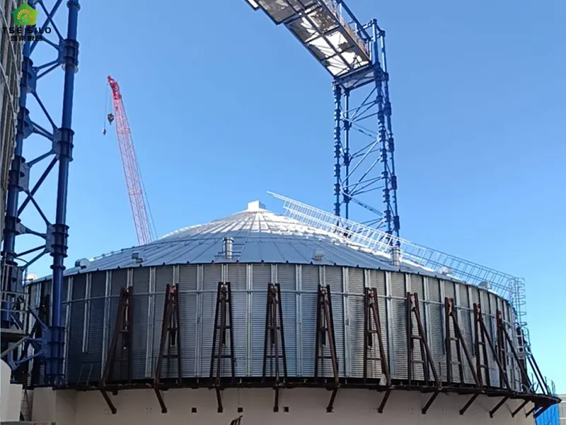 Flow Monitoring Within Grain Steel Silos