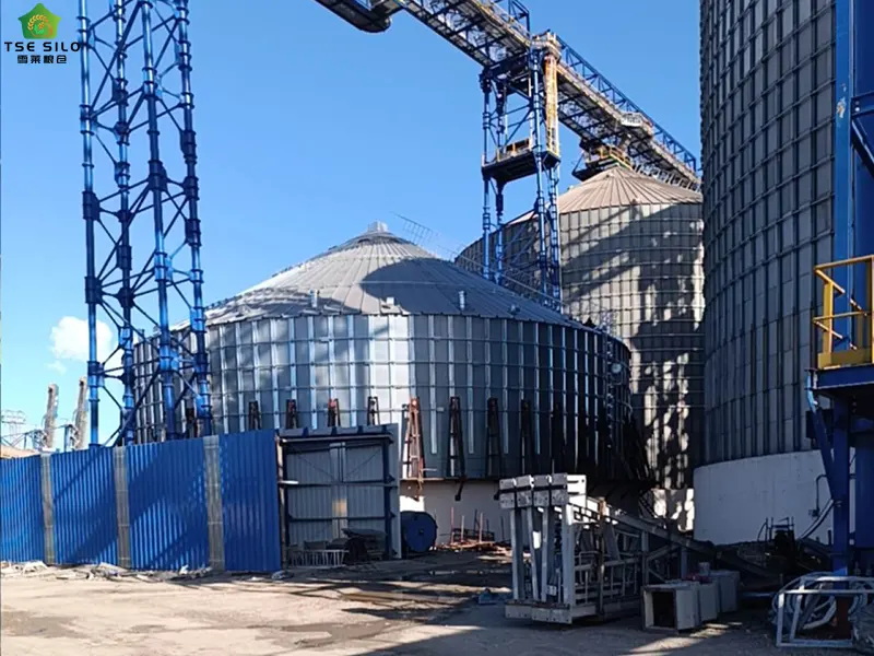 Moisture Content Control in Pneumatic Conveying of Grain Steel Silos