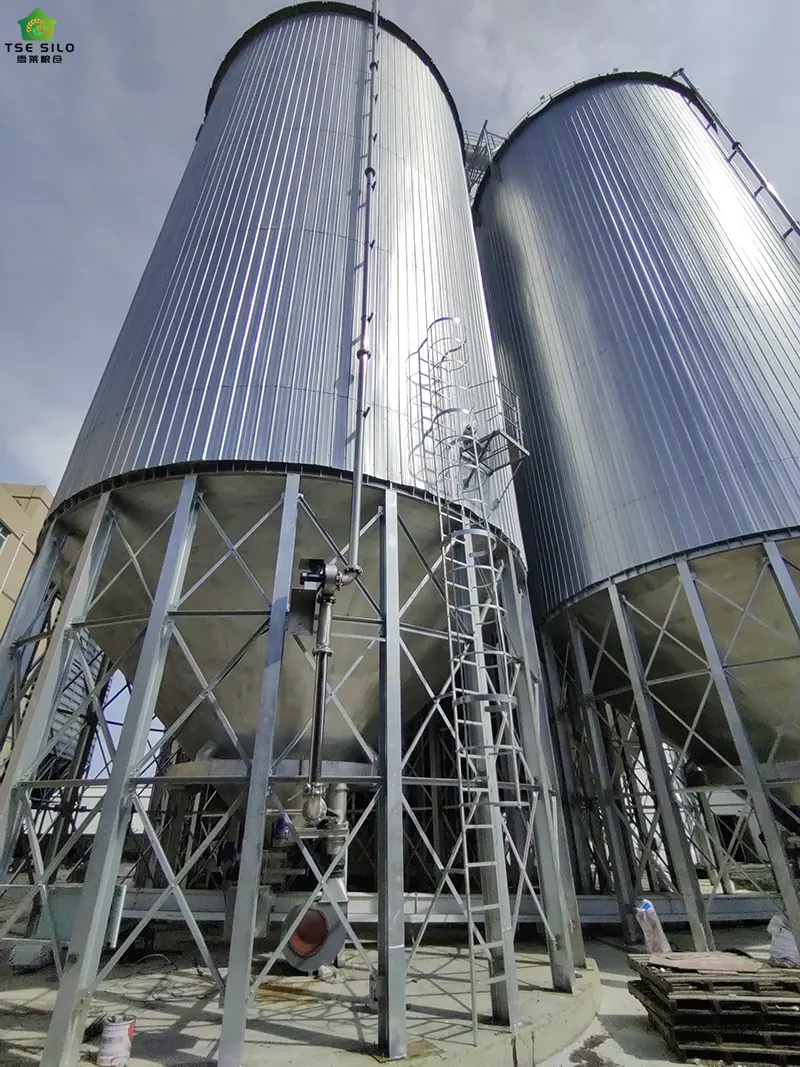 Conical Bottom Steel Silo Installation Completed