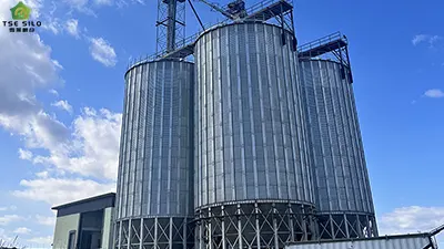 The 6 Emergency Measures for Handling Blockages in Bucket Elevators