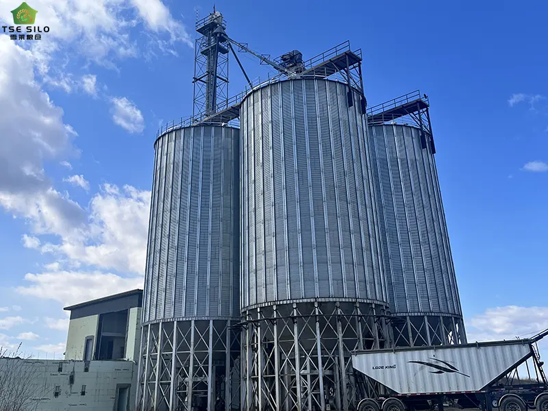 Canadian grain steel silo project