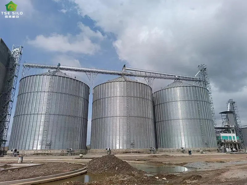 Venezuela Large Grain Silo Project